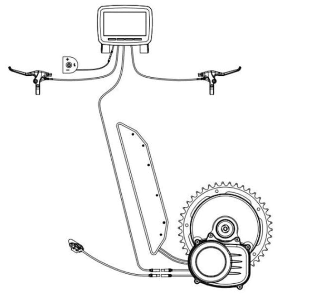 Tongsheng connections